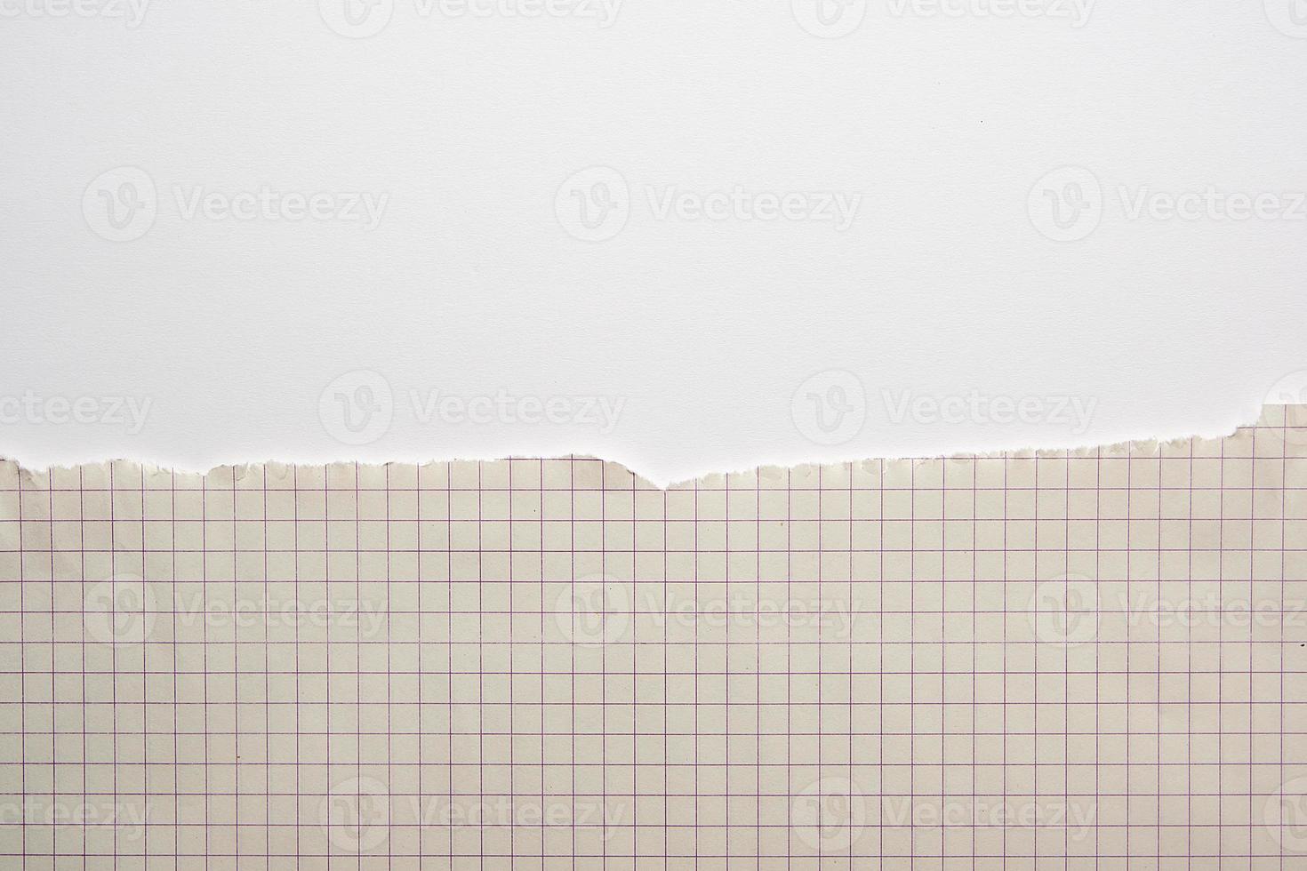 yellow torn sheet of paper in a cell on a white background, photo