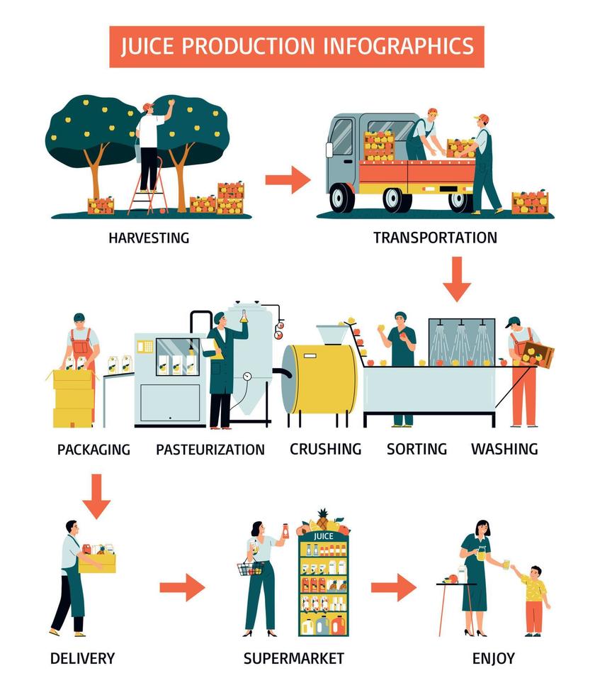 Juice Production Infographics vector