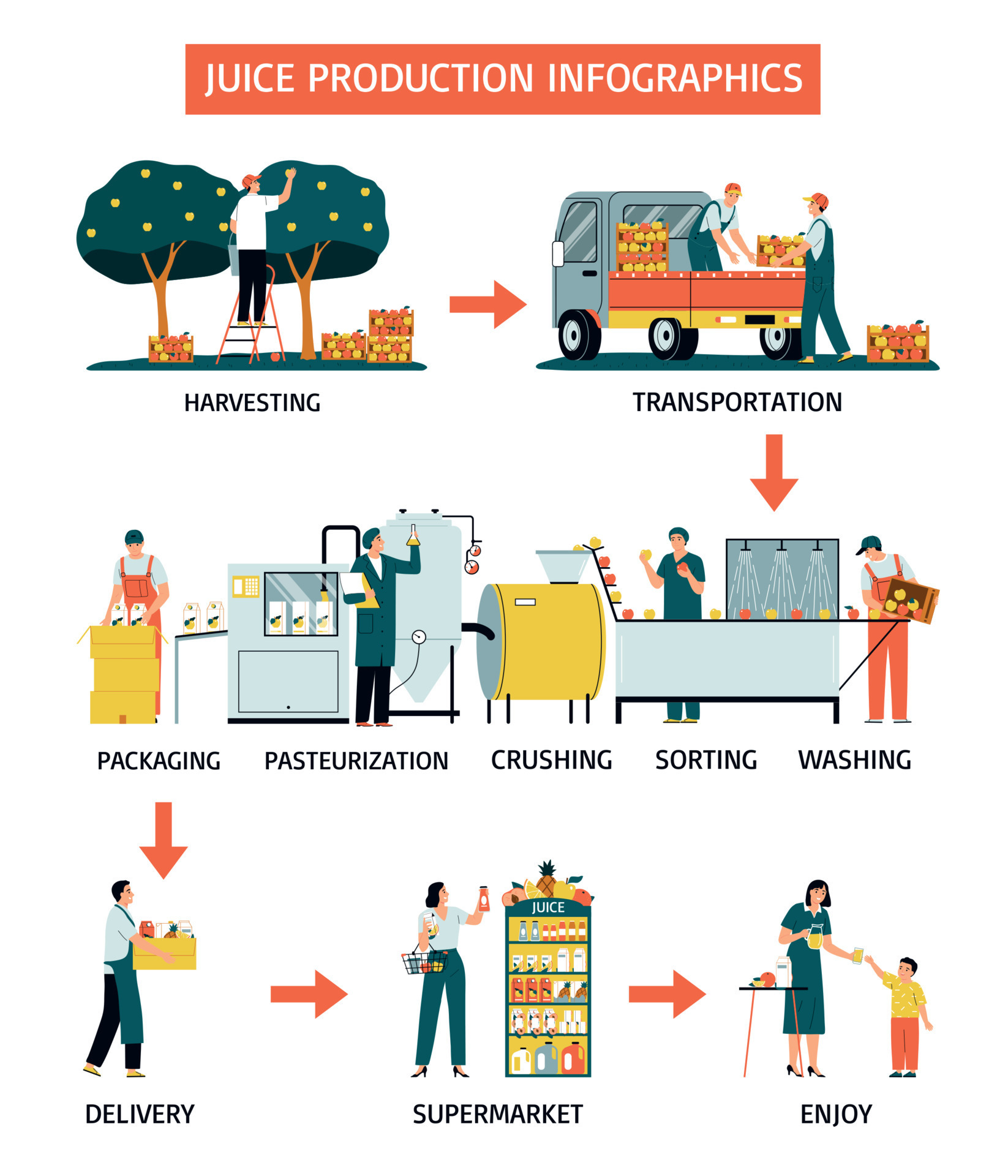 Juice Production Infographics 19775115 Vector Art at Vecteezy