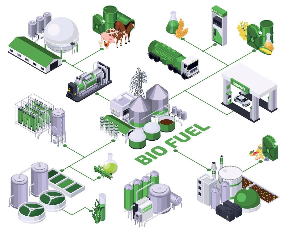 bio combustible producción diagrama de flujo vector