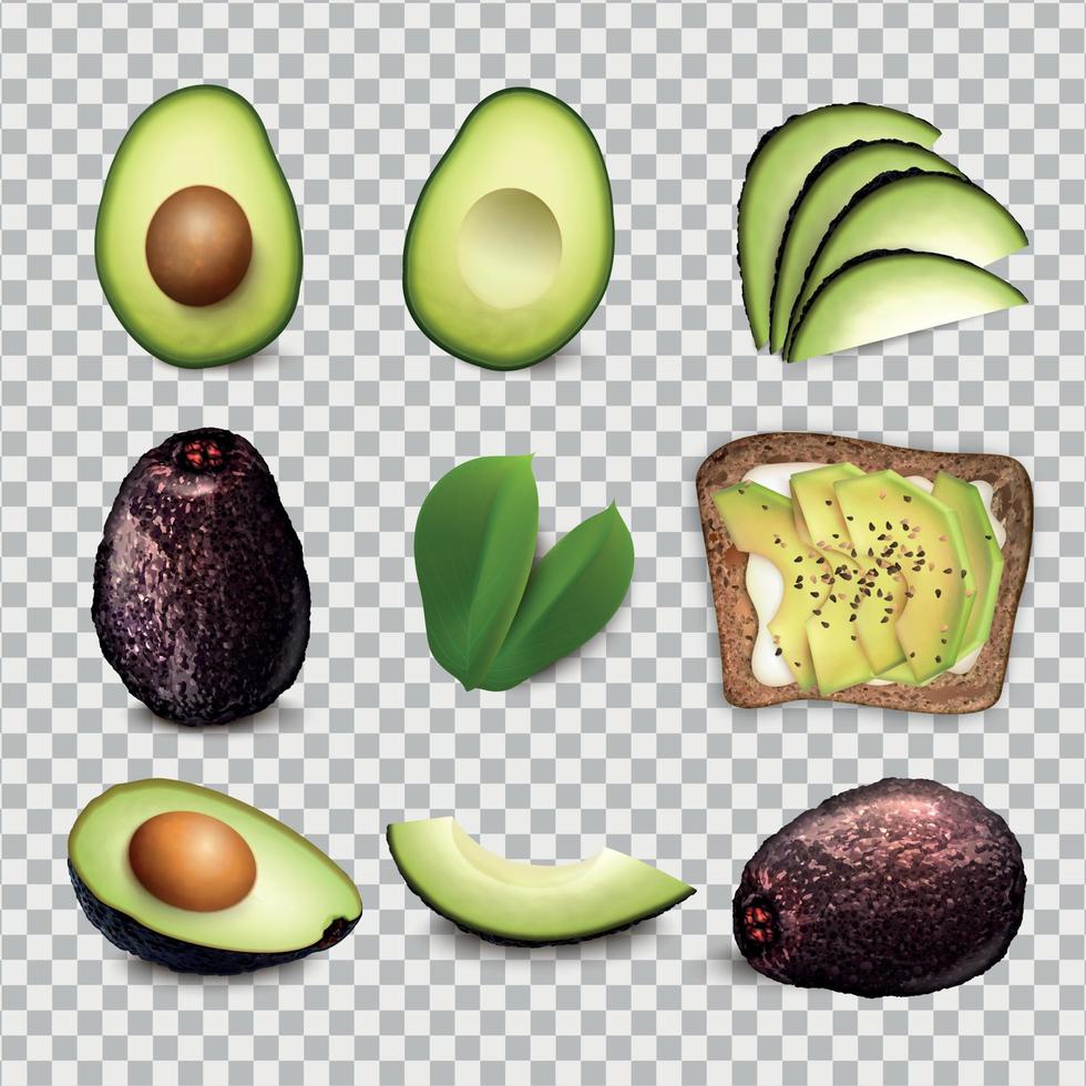 Avocado Realistic Set vector