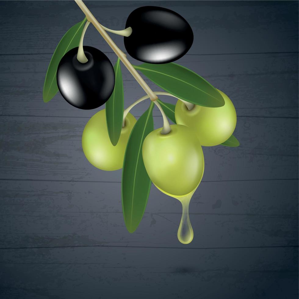 Olive Twig Background vector