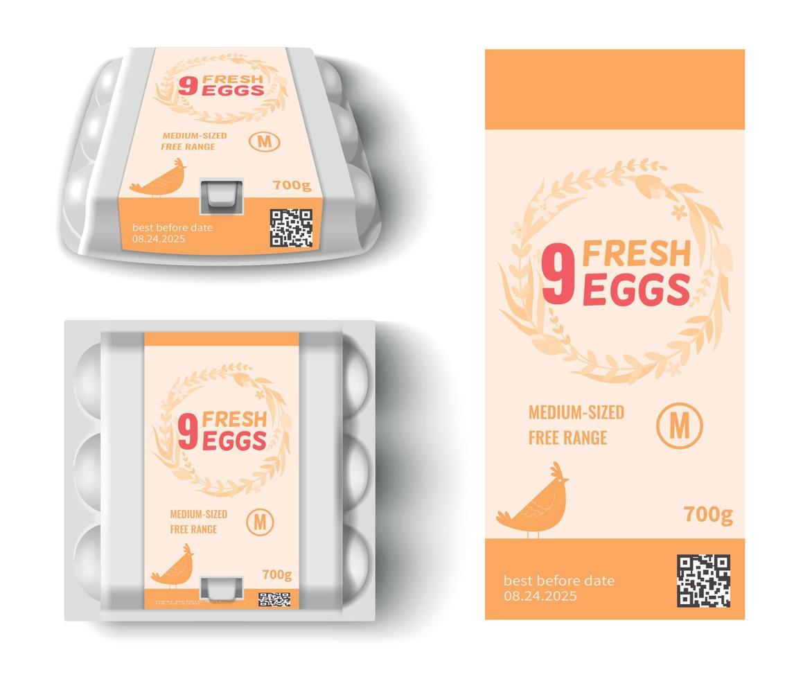 maqueta de paquete de huevos realista vector