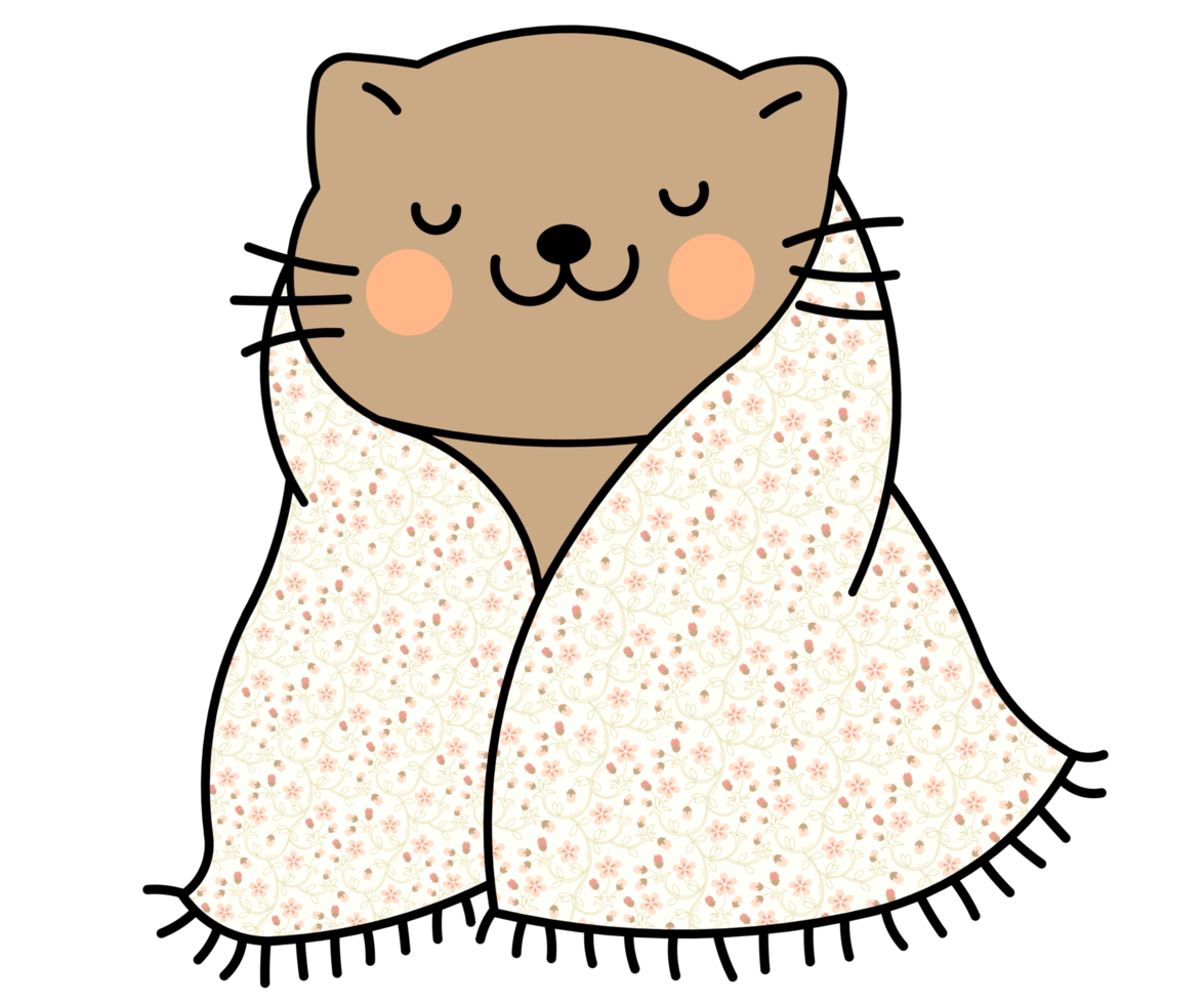carino gatto nel un' colorato coperta 19775686 PNG