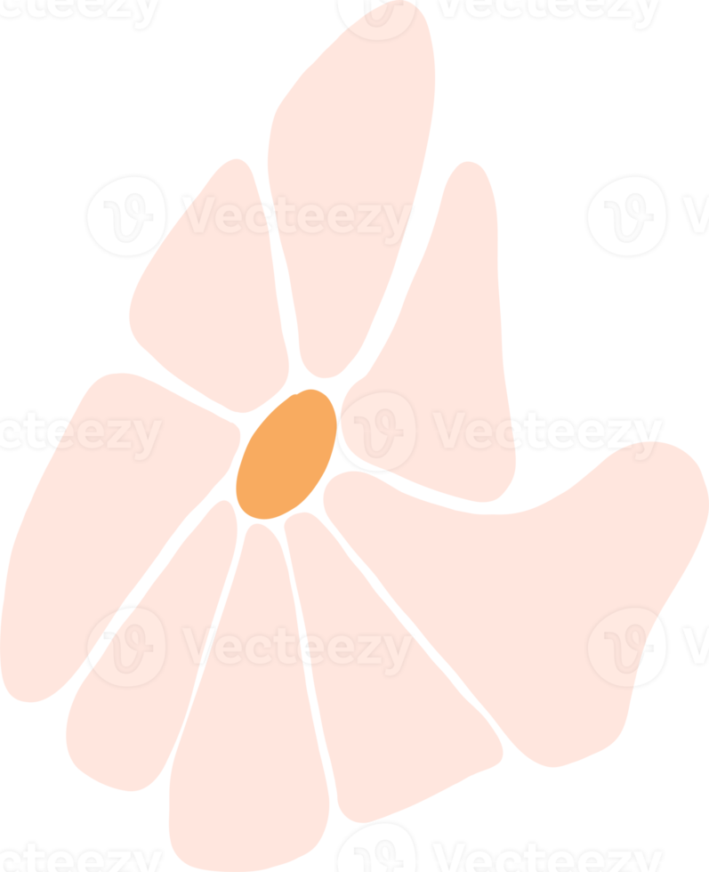 rétro sensationnel . Marguerite fleur png