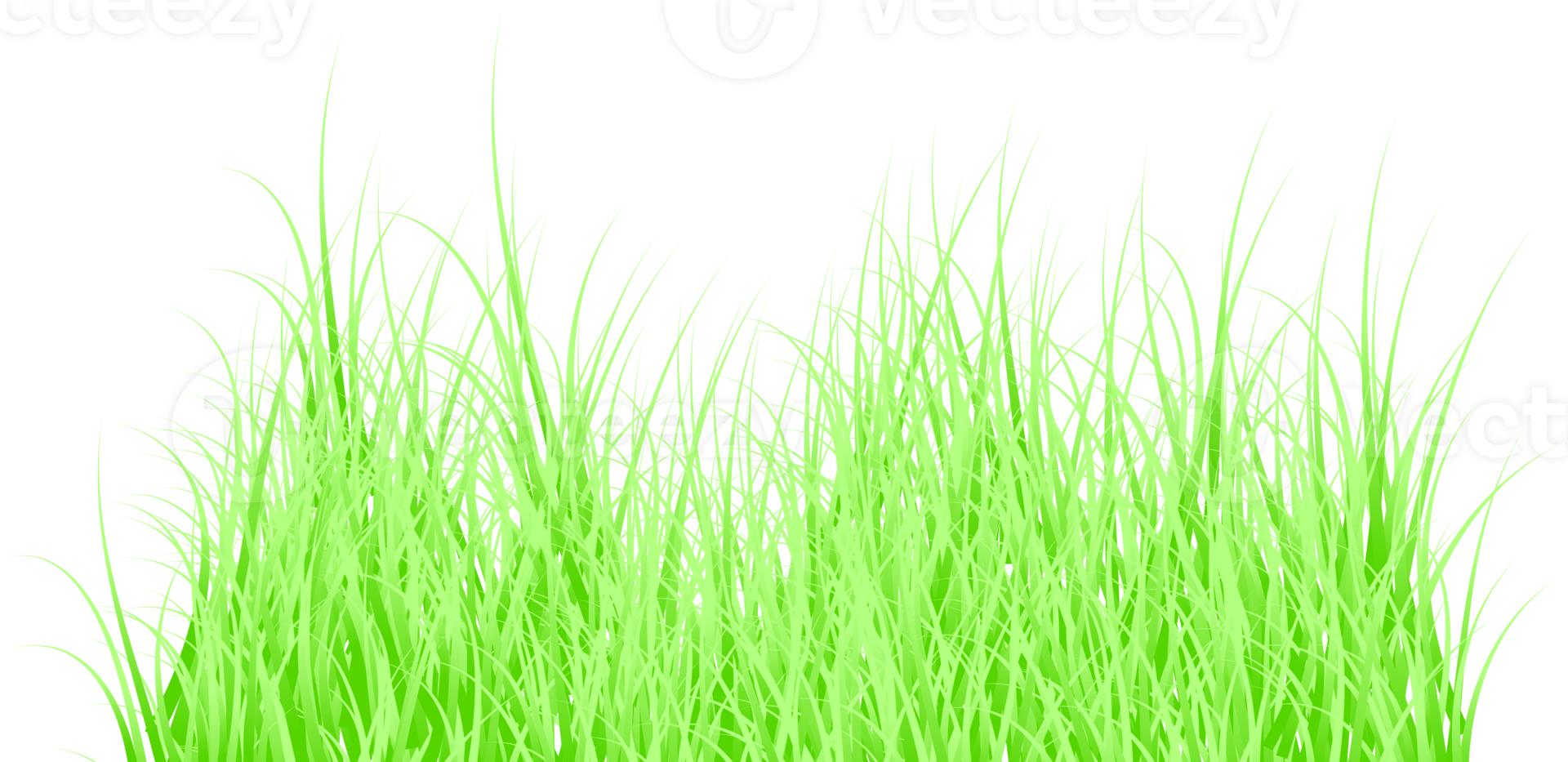 green grass png