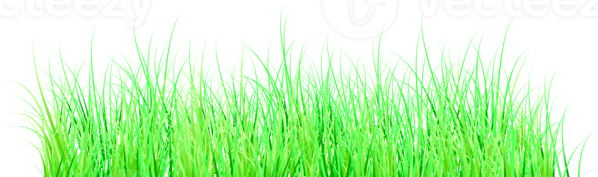 green grass png