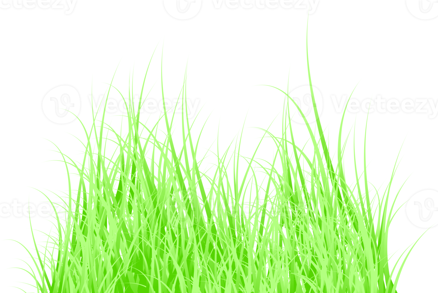 herbe verte png