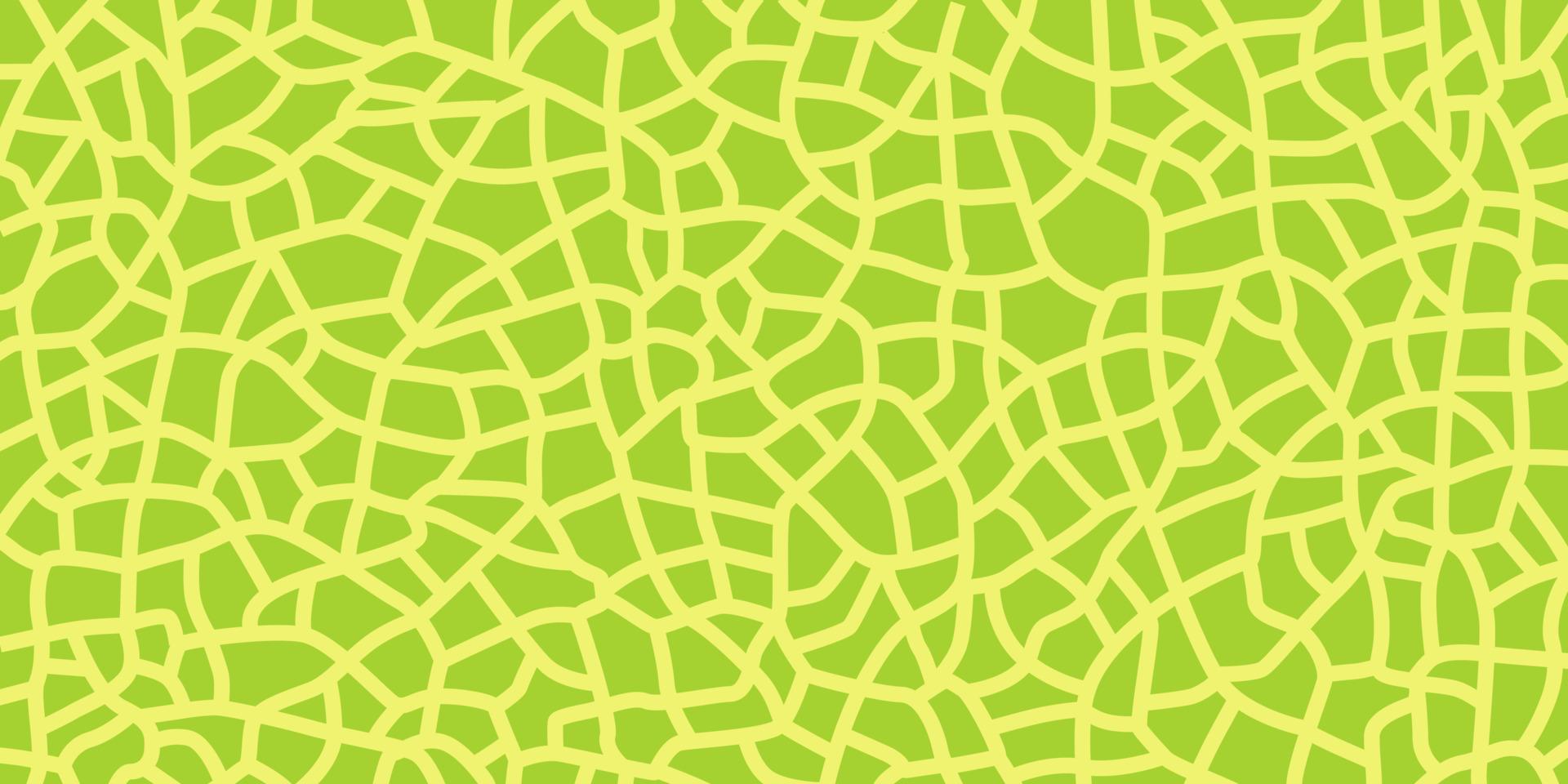 Green melon texture for pattern, vector art