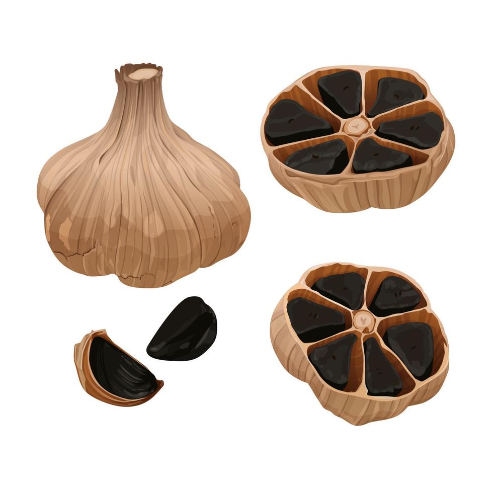 Delicious black garlic isolated on white background. Package design element with cutting path. Vector eps 10., perfect for wallpaper or design elements