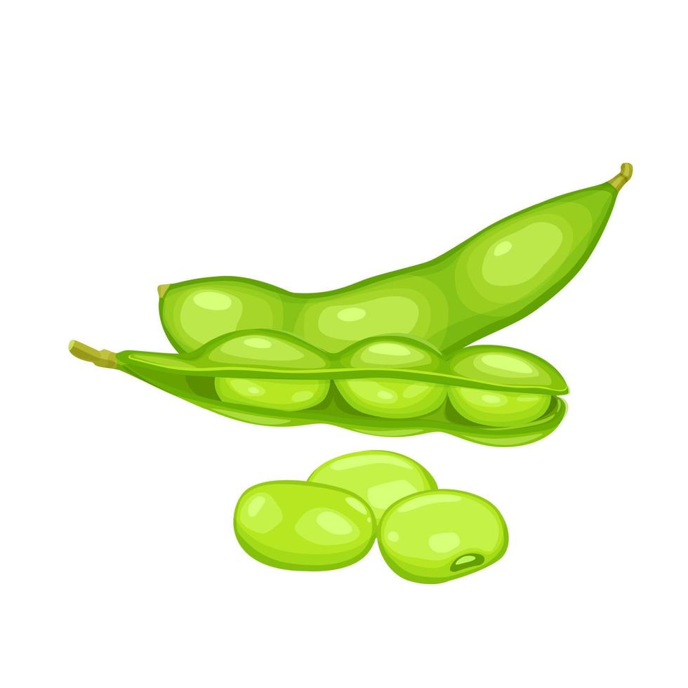 haba de soja vainas, edamame frijoles vector ilustración para anuncio soja producto.eps 10 Perfecto para fondo de pantalla o diseño elementos