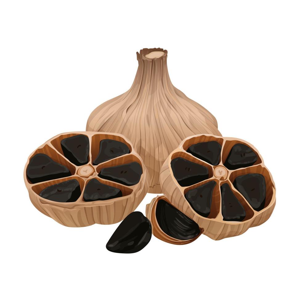 Delicious black garlic isolated on white background. Package design element with cutting path. Vector eps 10., perfect for wallpaper or design elements