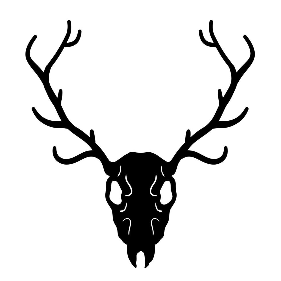 Skull of deer. Hunting trophy with horns. Antler of stag or reindeer. Scary black and white drawing for Halloween. Cartoon illustration isolated on white vector