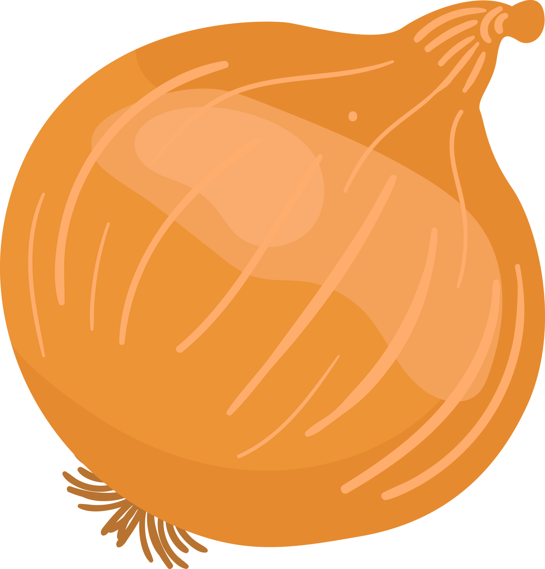 Red Onions and Yellow Onions illustration element 19782506 PNG