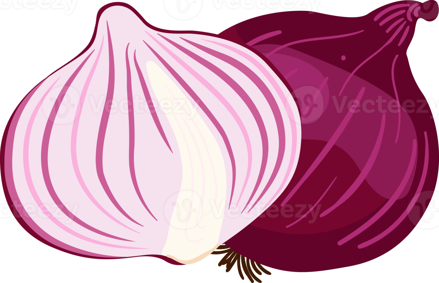 Red Onions and Yellow Onions illustration element 19782553 PNG