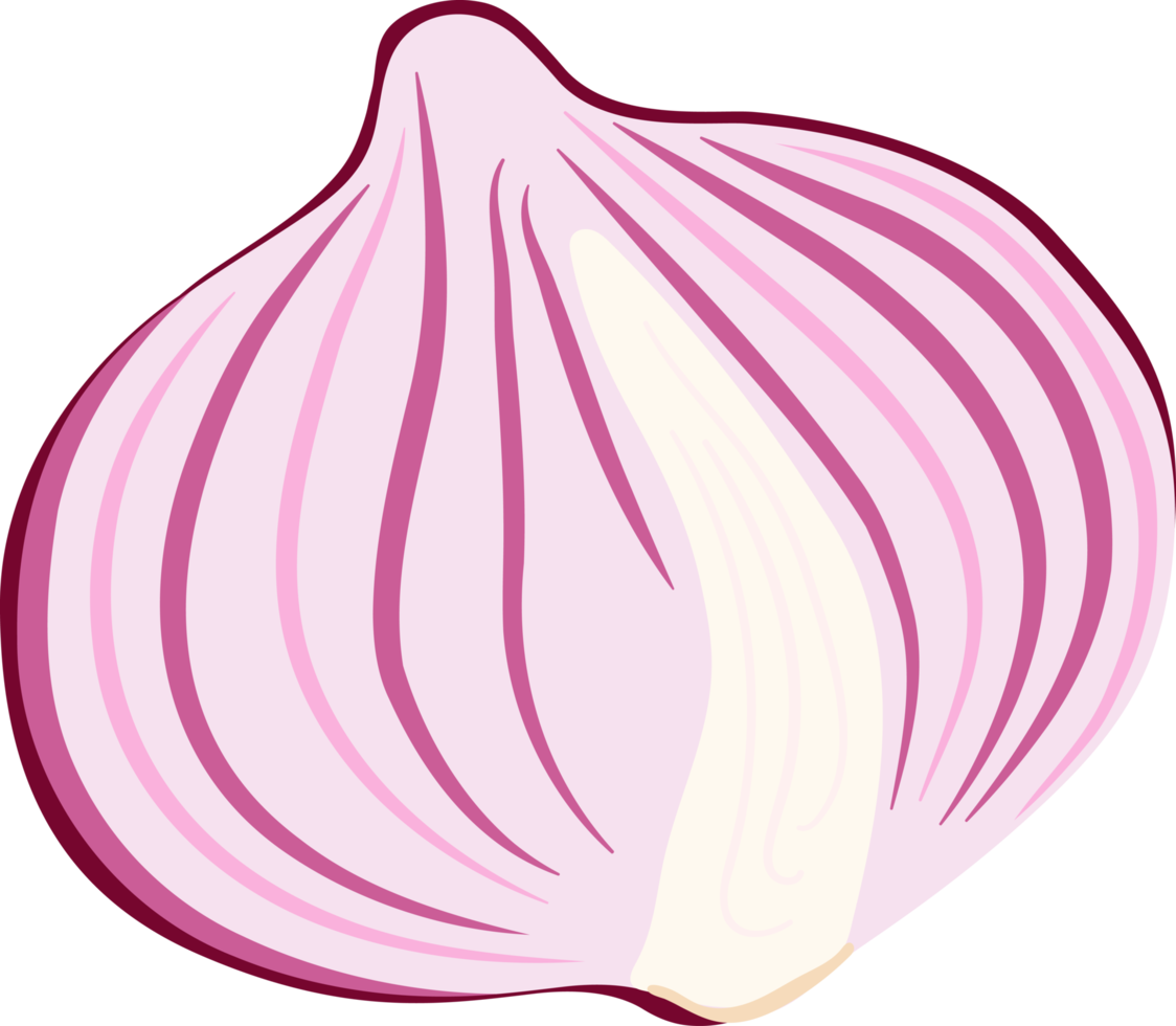 Red Onions and Yellow Onions illustration element png