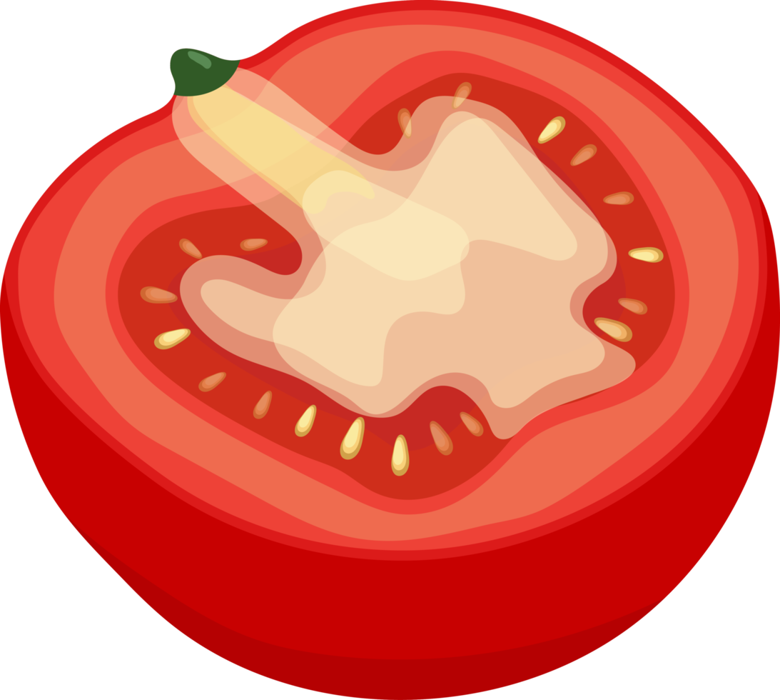 Tomato illustration element png