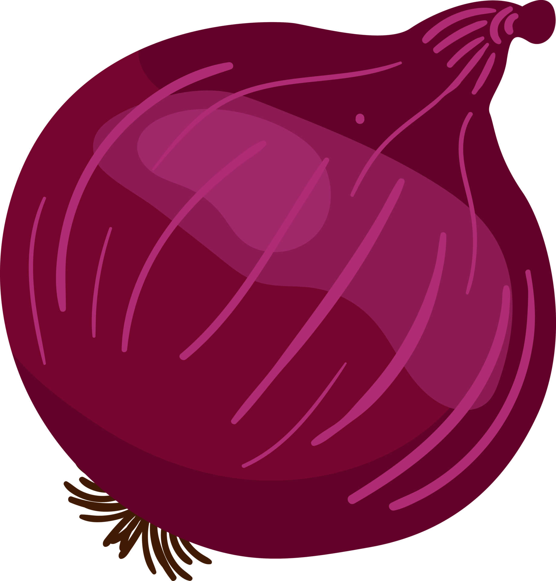 Red Onions and Yellow Onions illustration element 19782618 PNG