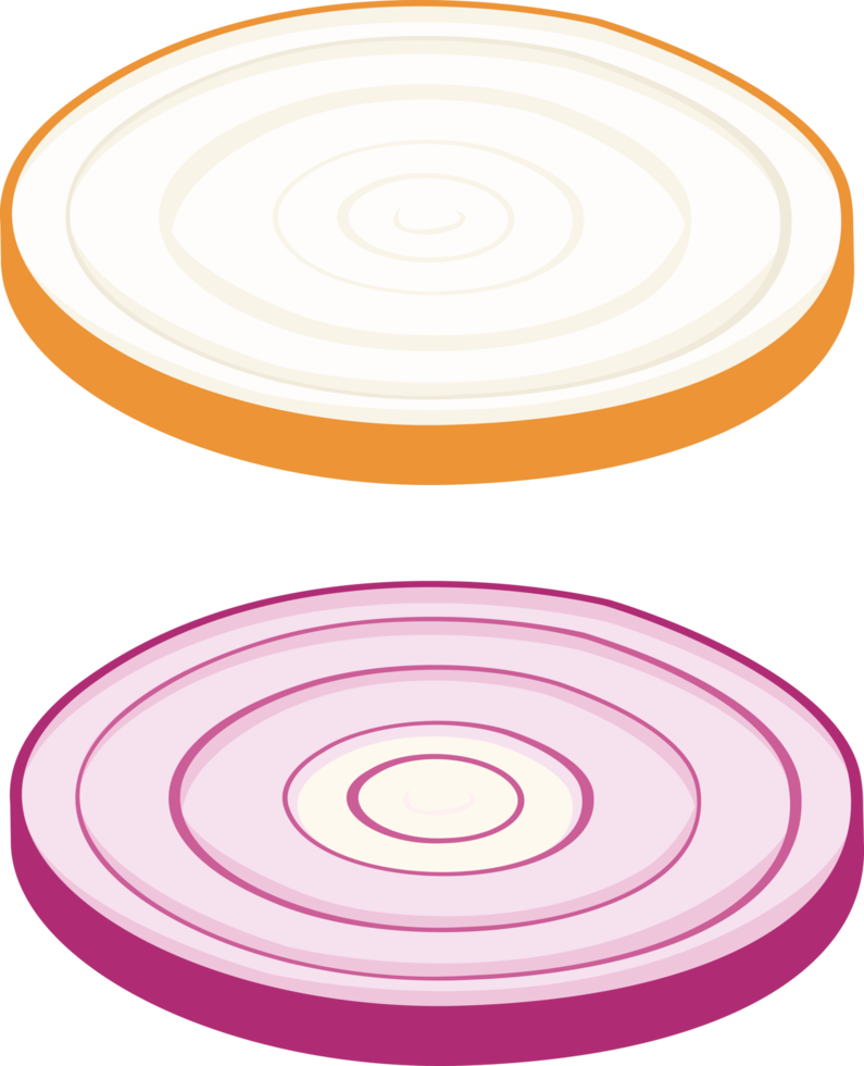 Red Onions and Yellow Onions illustration element png