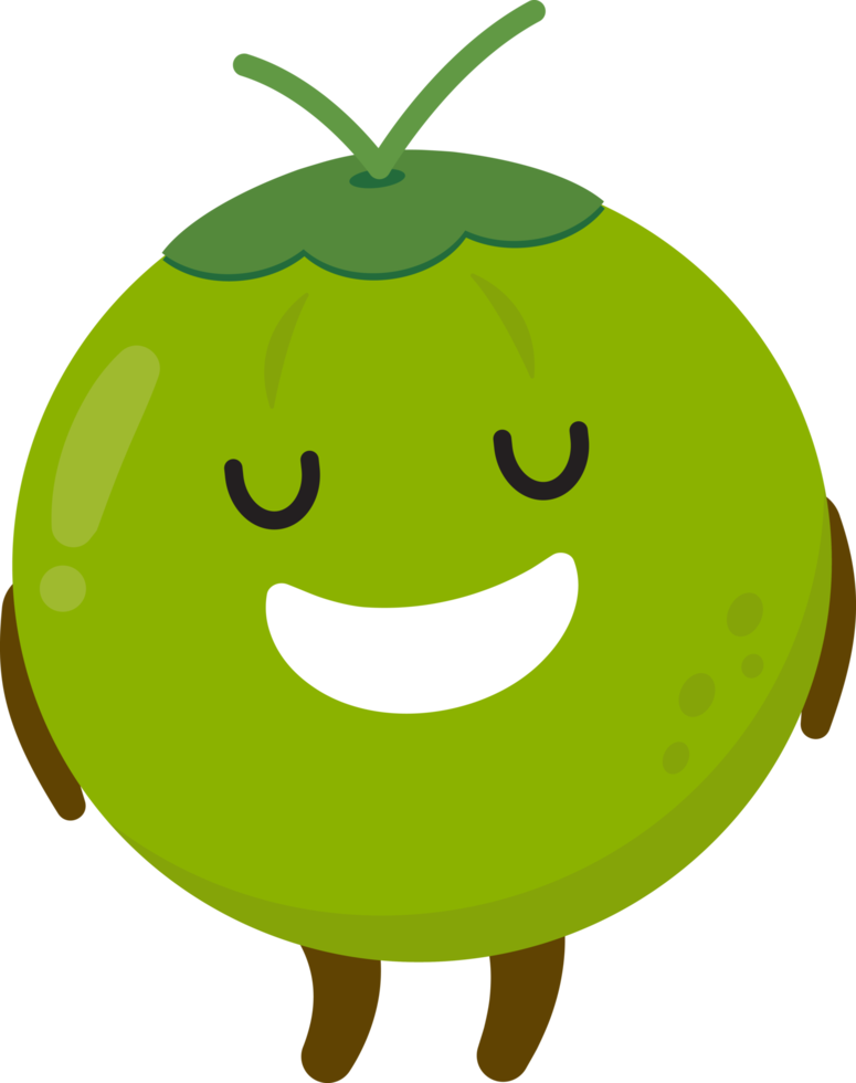 Coconut Cartoon Character png