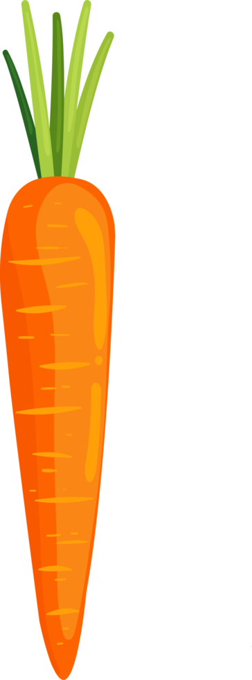 Carrot illustration element png