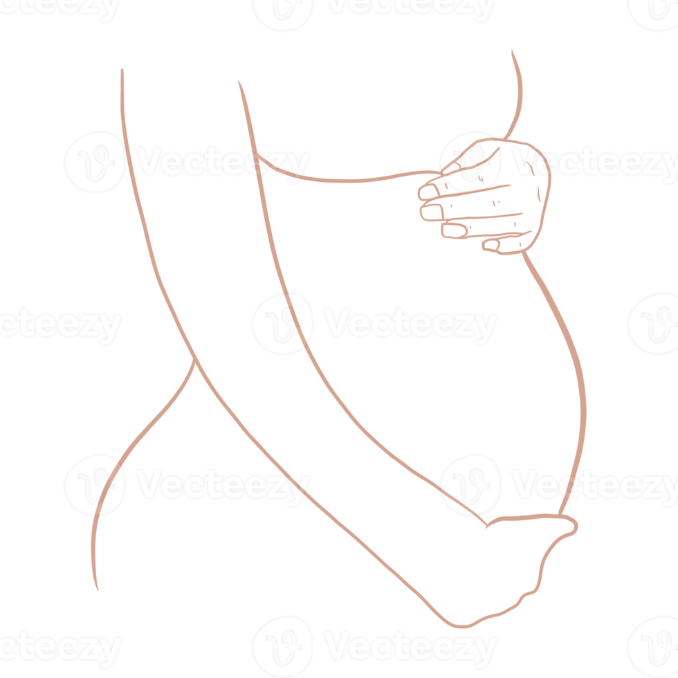 incinta pancia delineato png