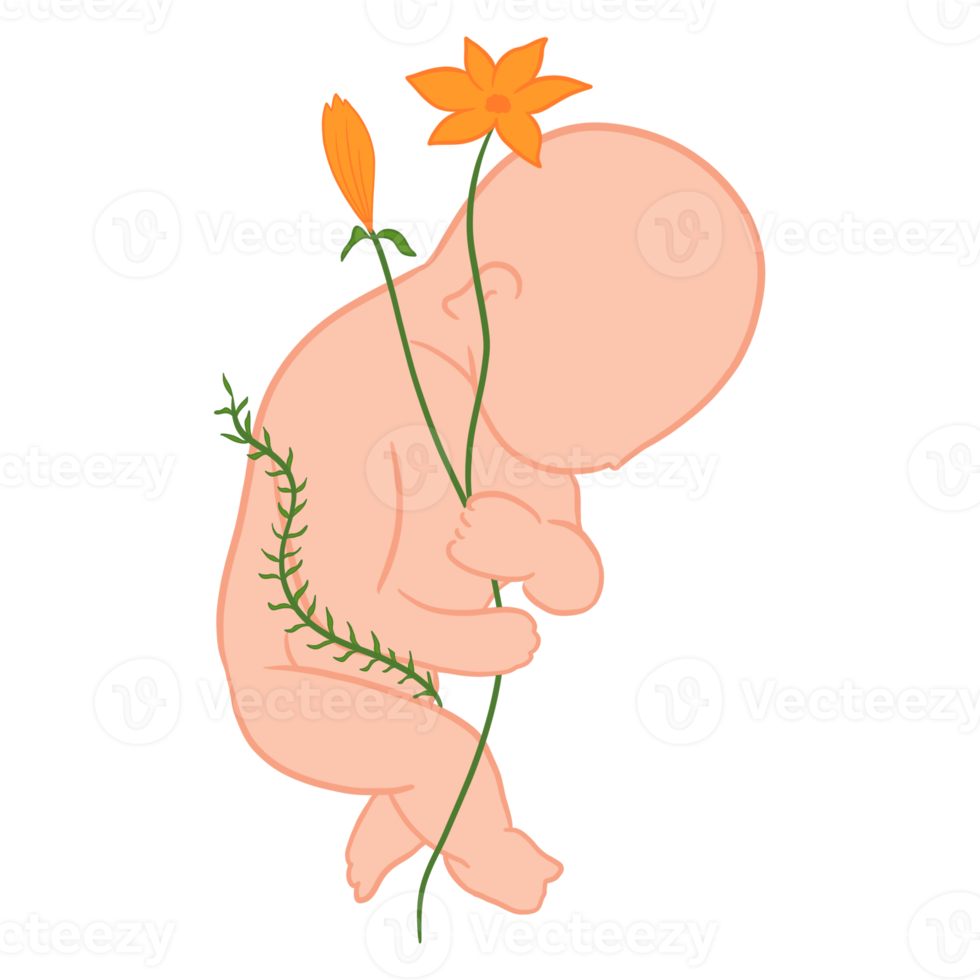 slapen baby met bloemen png