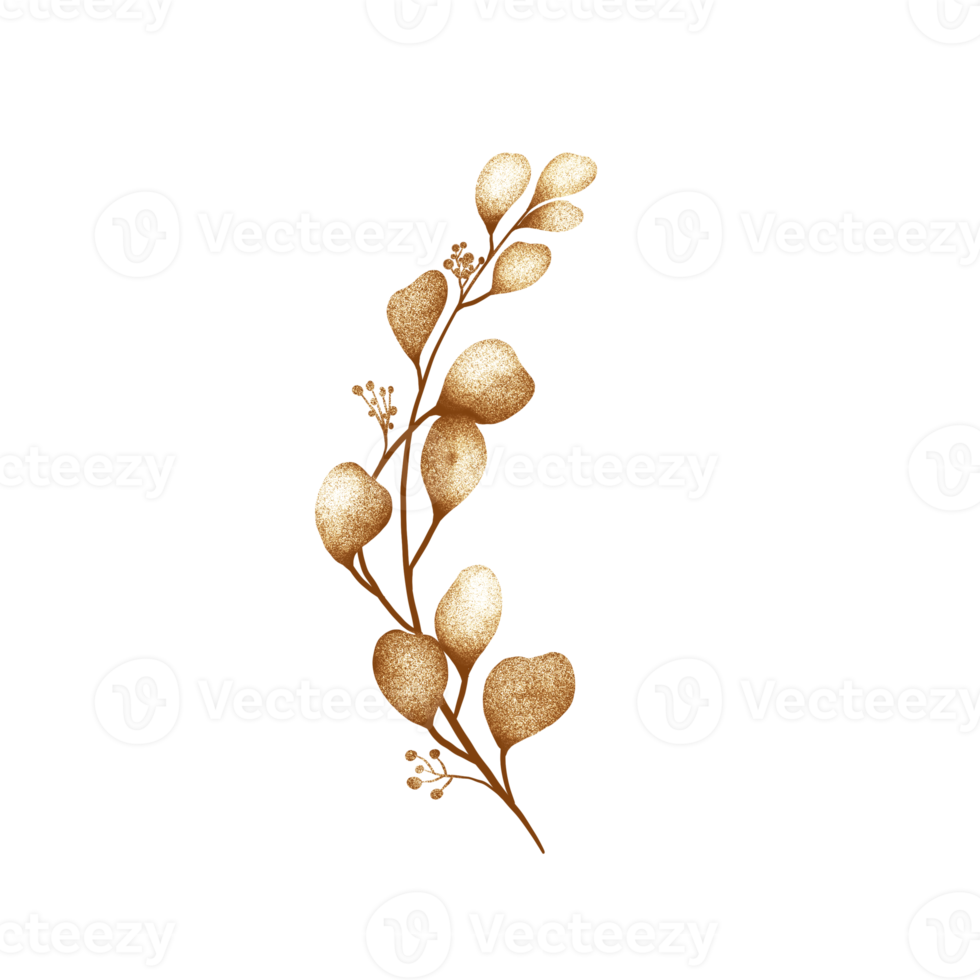 Golden eucalyptus leaves 19782750 PNG