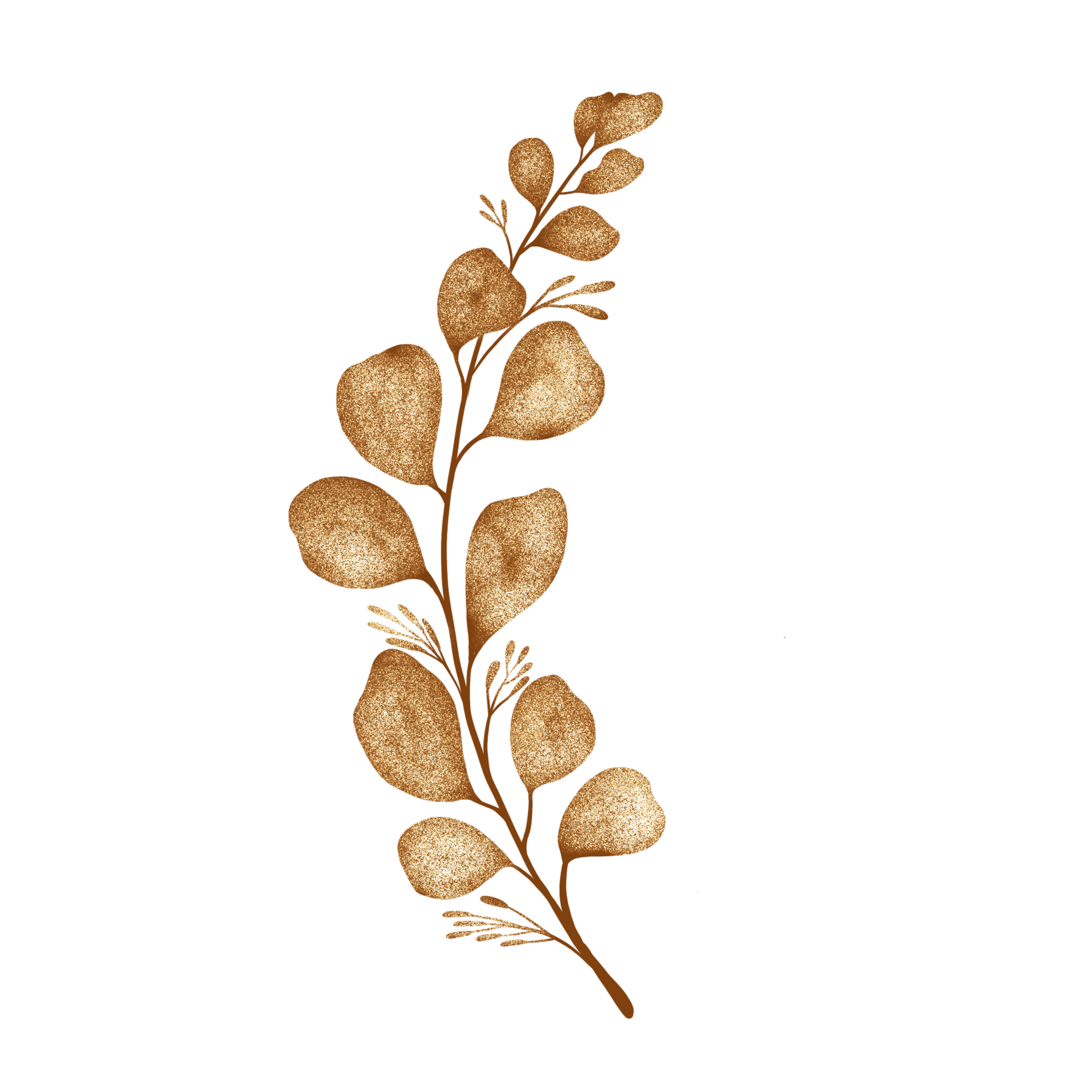 Golden eucalyptus leaves 19782752 PNG