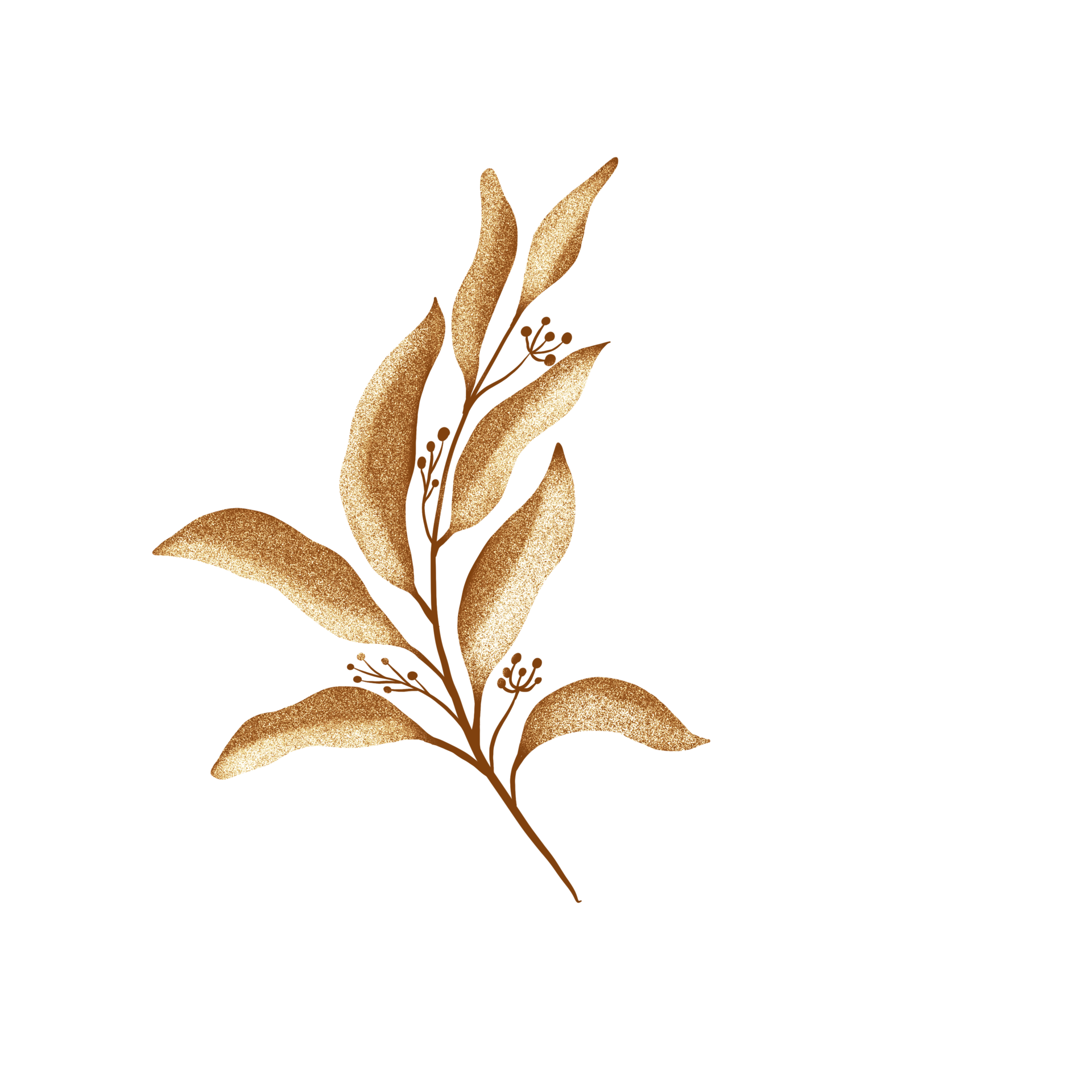 Free Golden eucalyptus leaves 19782792 PNG with Transparent Background