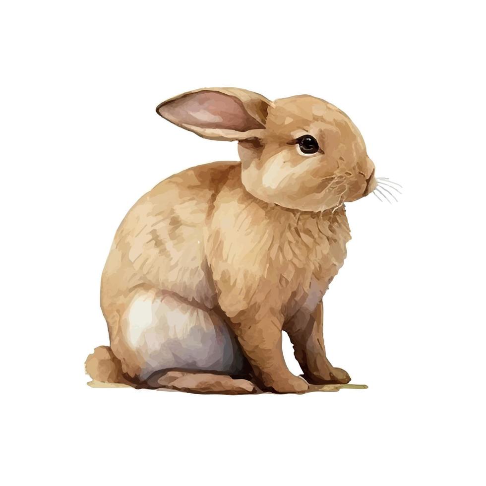 Watercolor illustration of a cute fluffy grey rabbit in a white background vector