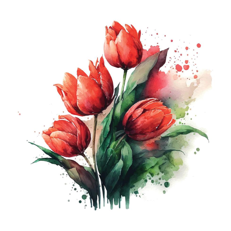 Illustration of watercolor hand drawn set of colorful red tulips bouquet isolated on white background. Spring flowers. Card for Mothers day, 8 March, wedding. vector
