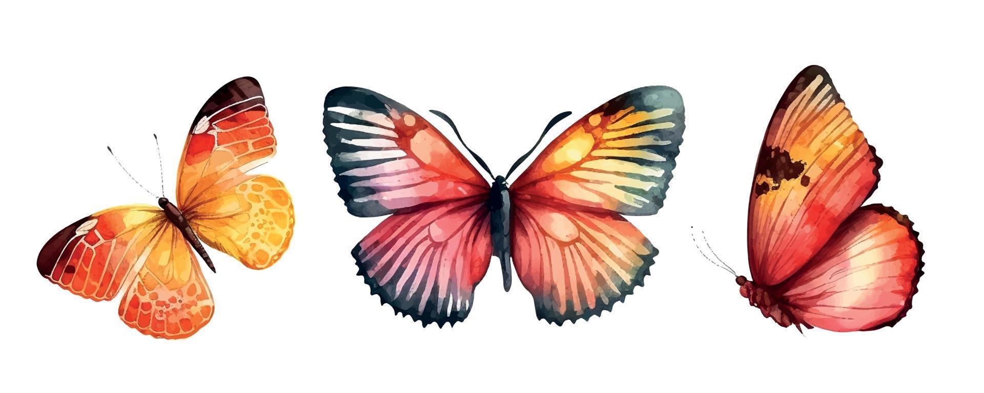 Collection watercolor of flying butterflies watercolor set vector