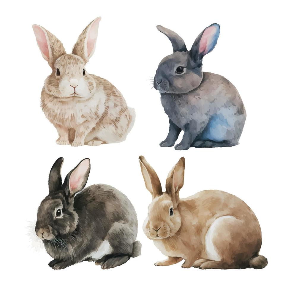 Watercolor illustration of a cute fluffy grey rabbit in a white background vector