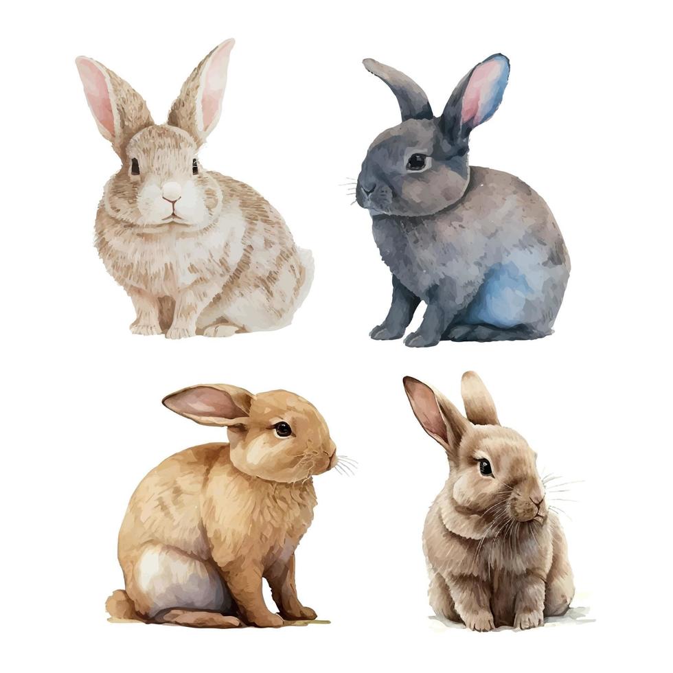 Watercolor illustration of a cute fluffy grey rabbit in a white background vector