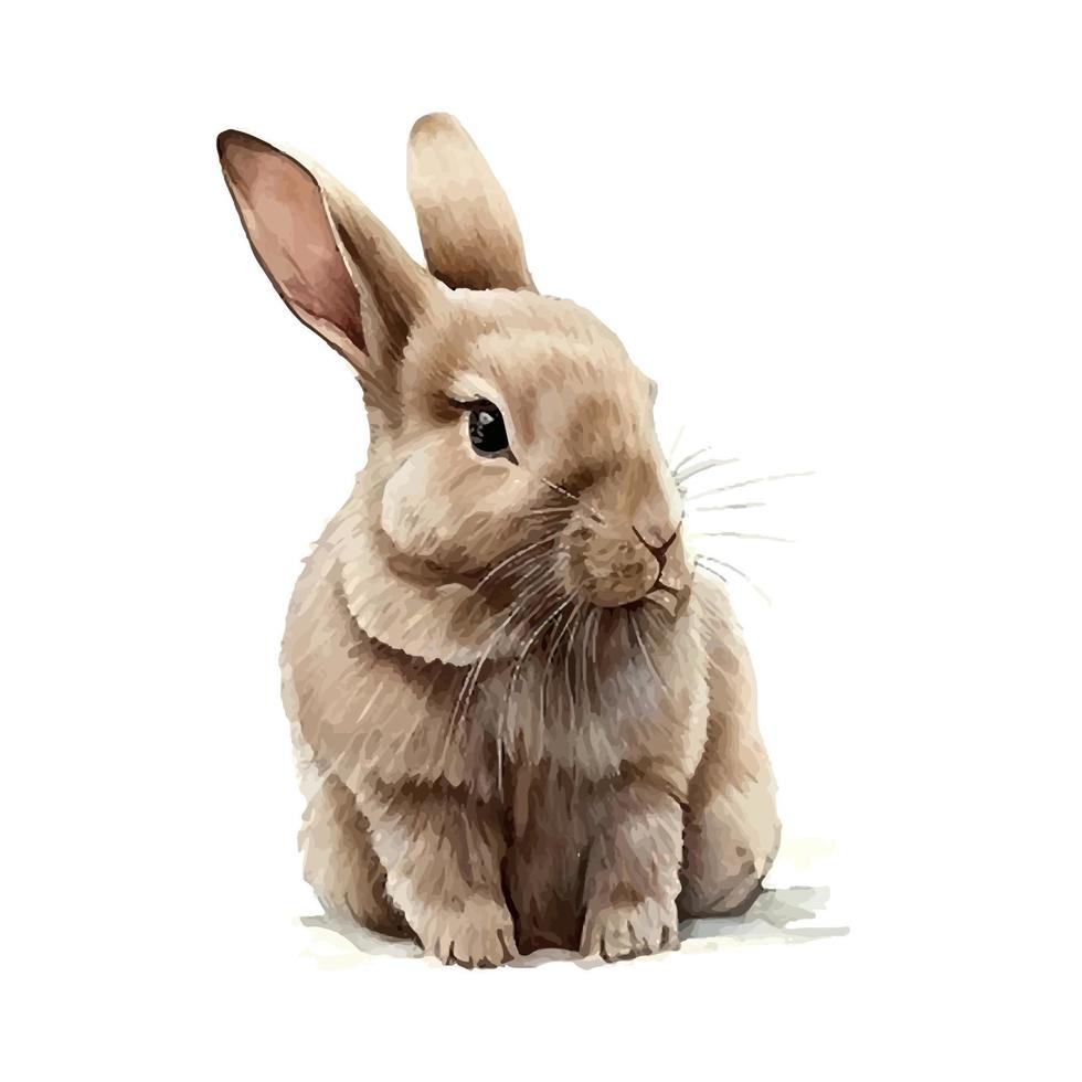 Watercolor illustration of a cute fluffy grey rabbit in a white background vector