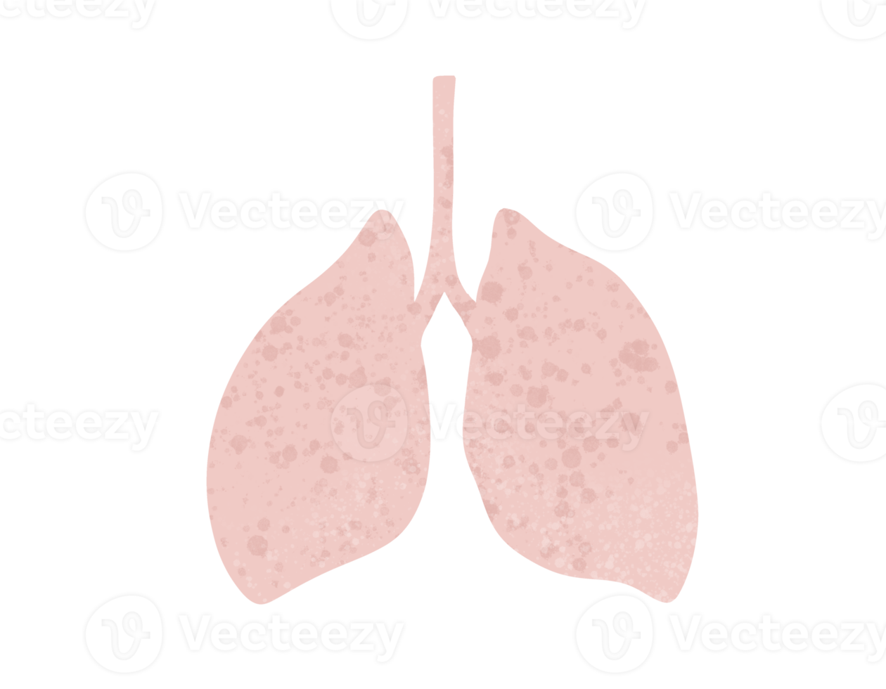 set of Lung Graphical representation of infectious pneumonia png