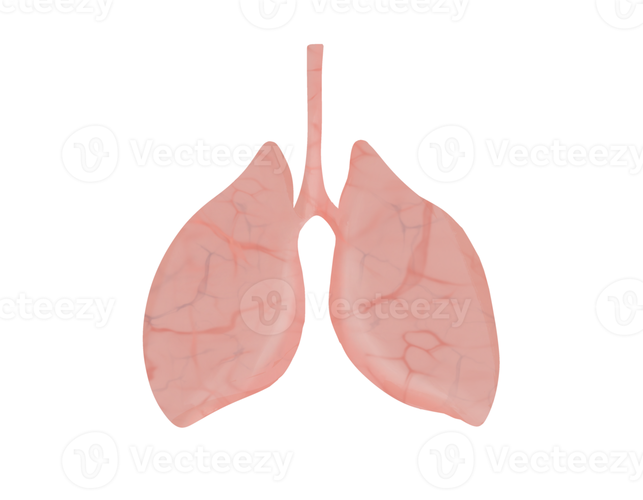set of Lung Graphical representation of infectious pneumonia png