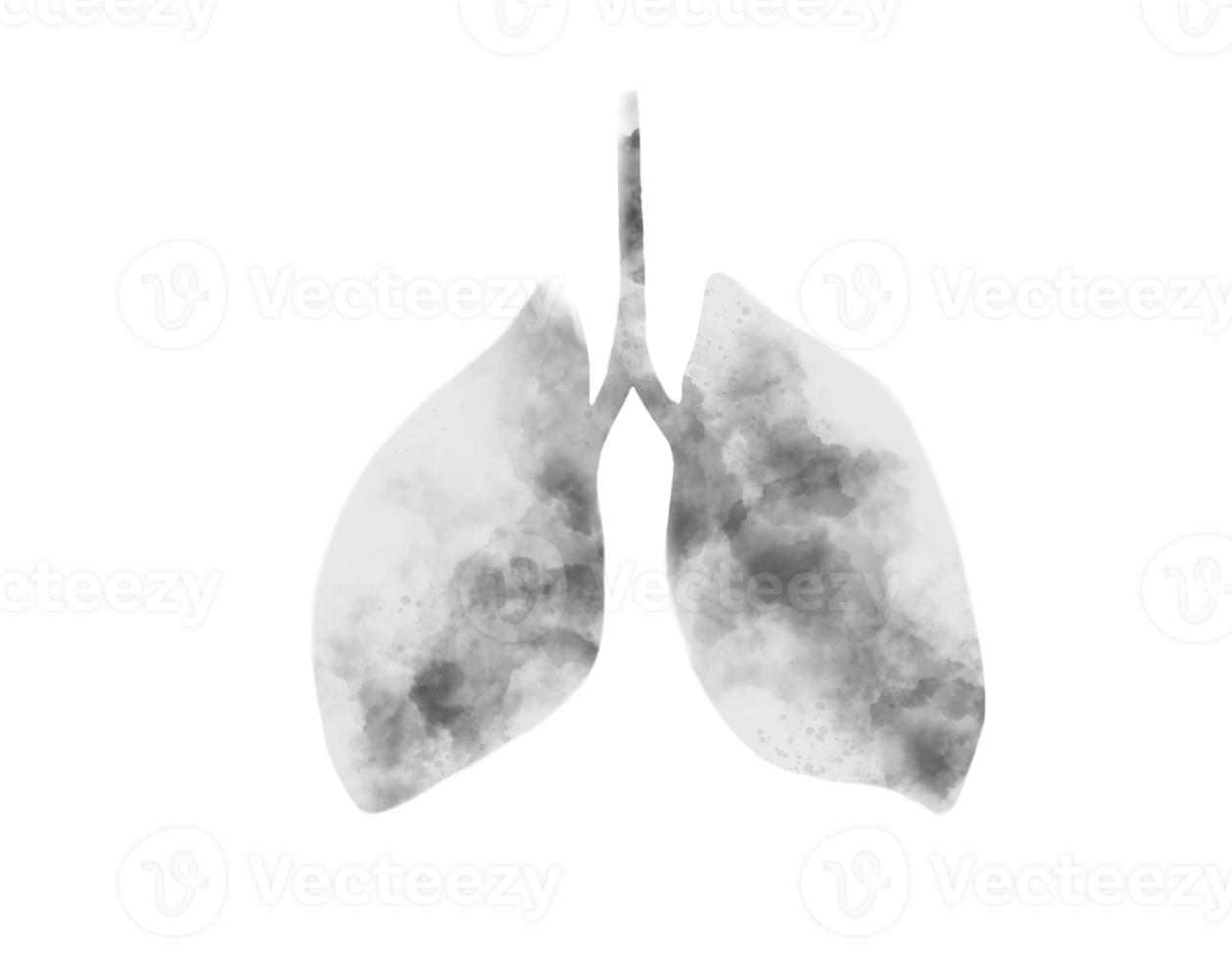 ensemble de poumon graphique représentation de infectieux pneumonie png
