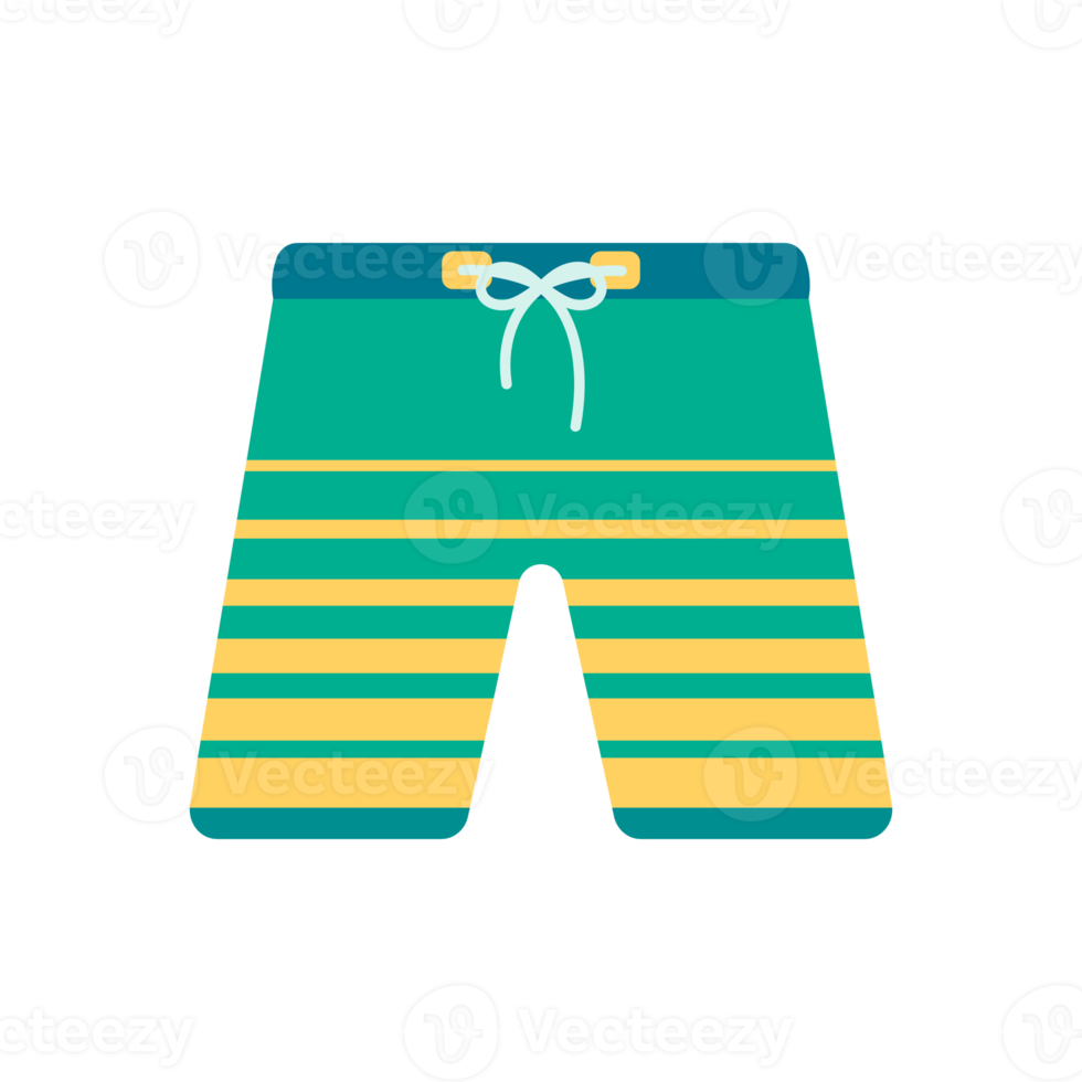 surfen broek. kleding voor water activiteiten in surfen. zomer kust ontspanning png