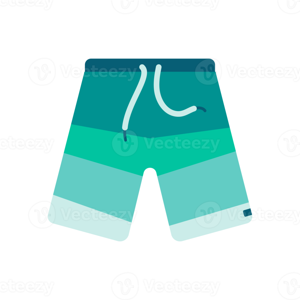 surfen broek. kleding voor water activiteiten in surfen. zomer kust ontspanning png