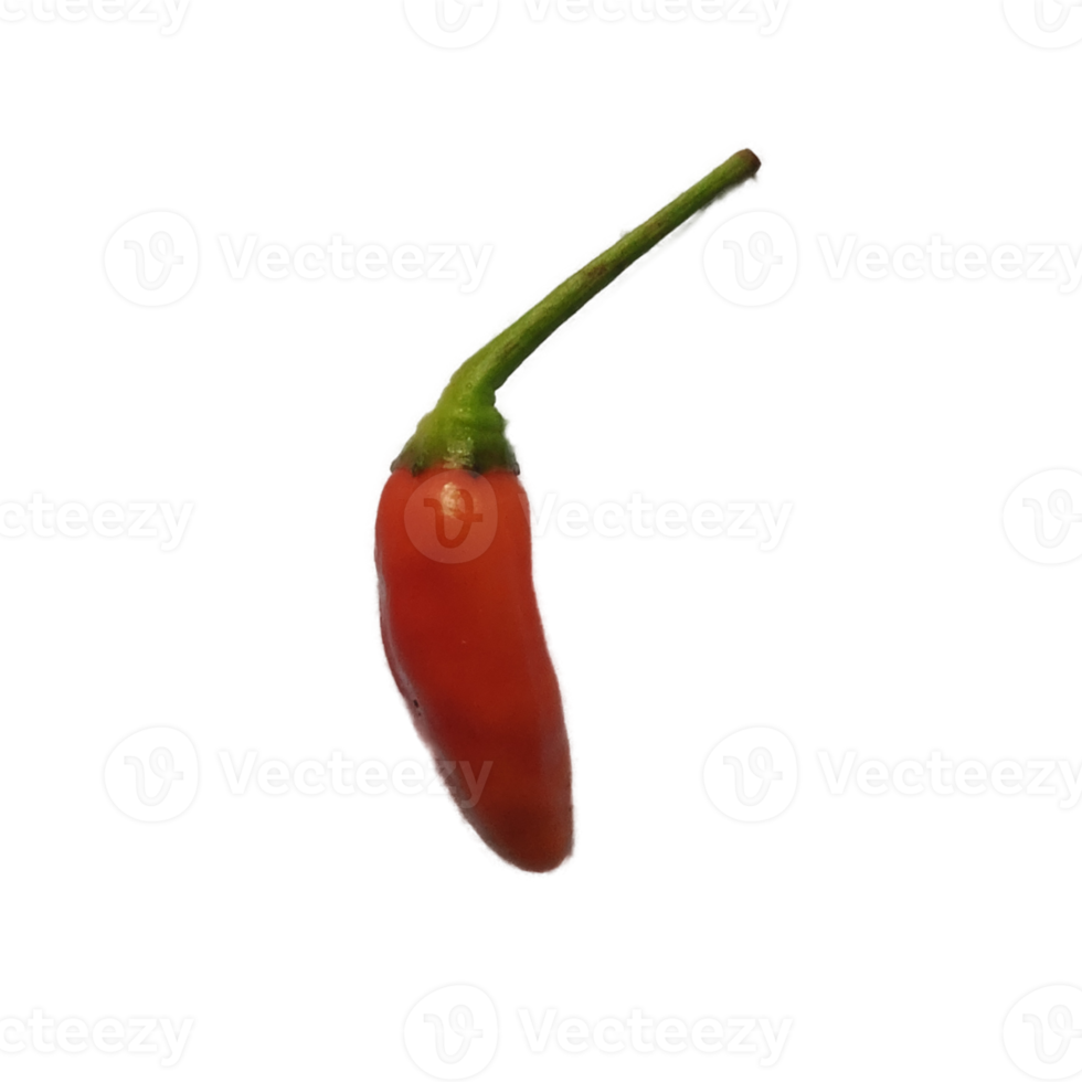 Red chili fresh png