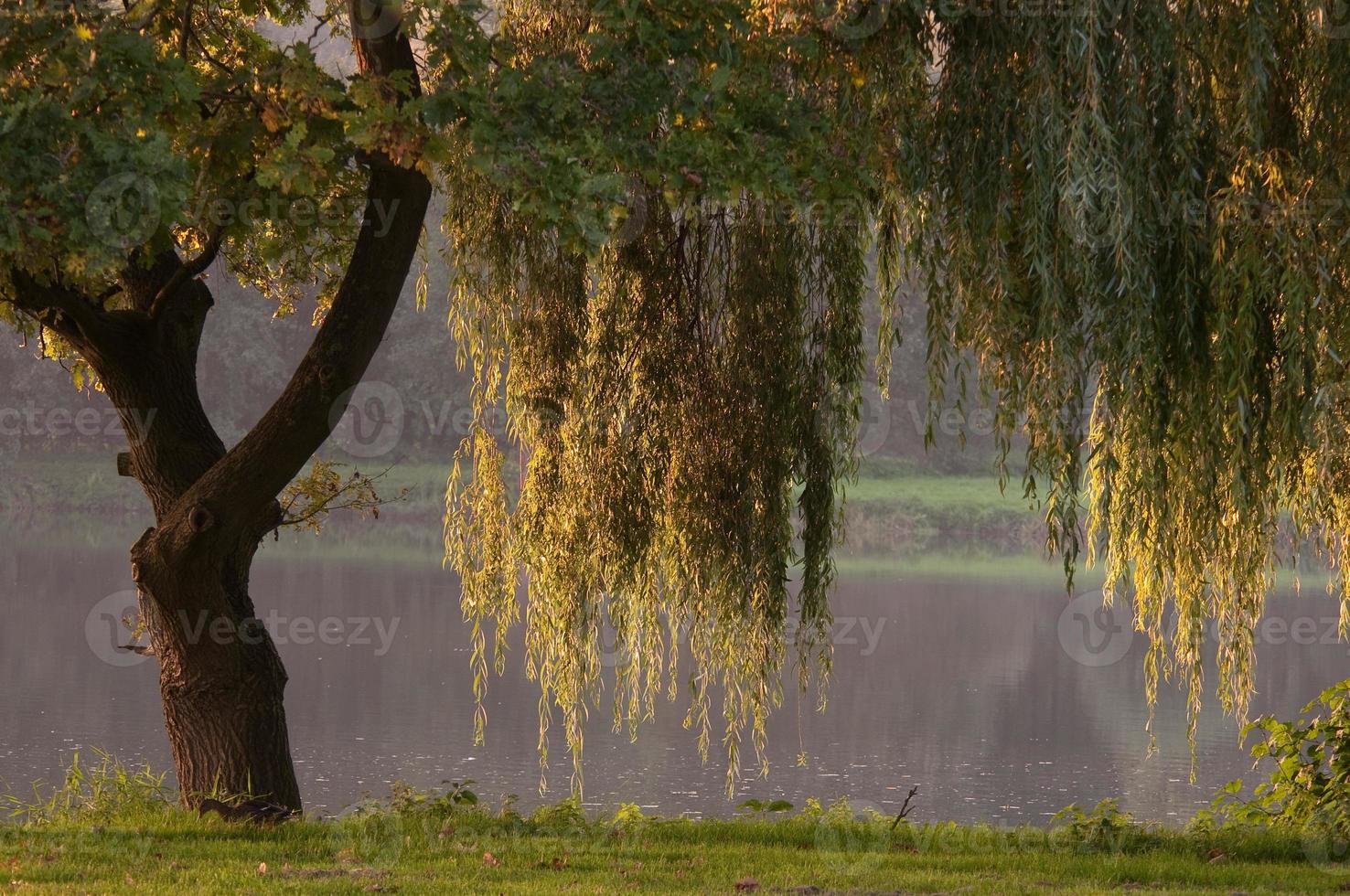 small lake in westphalia photo