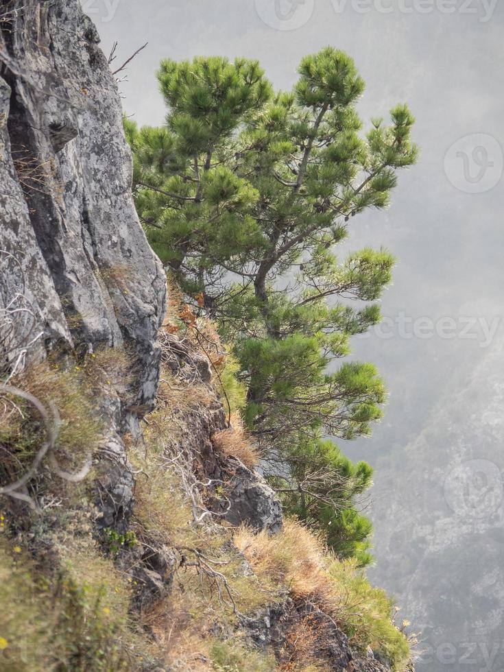 the island of madeira photo