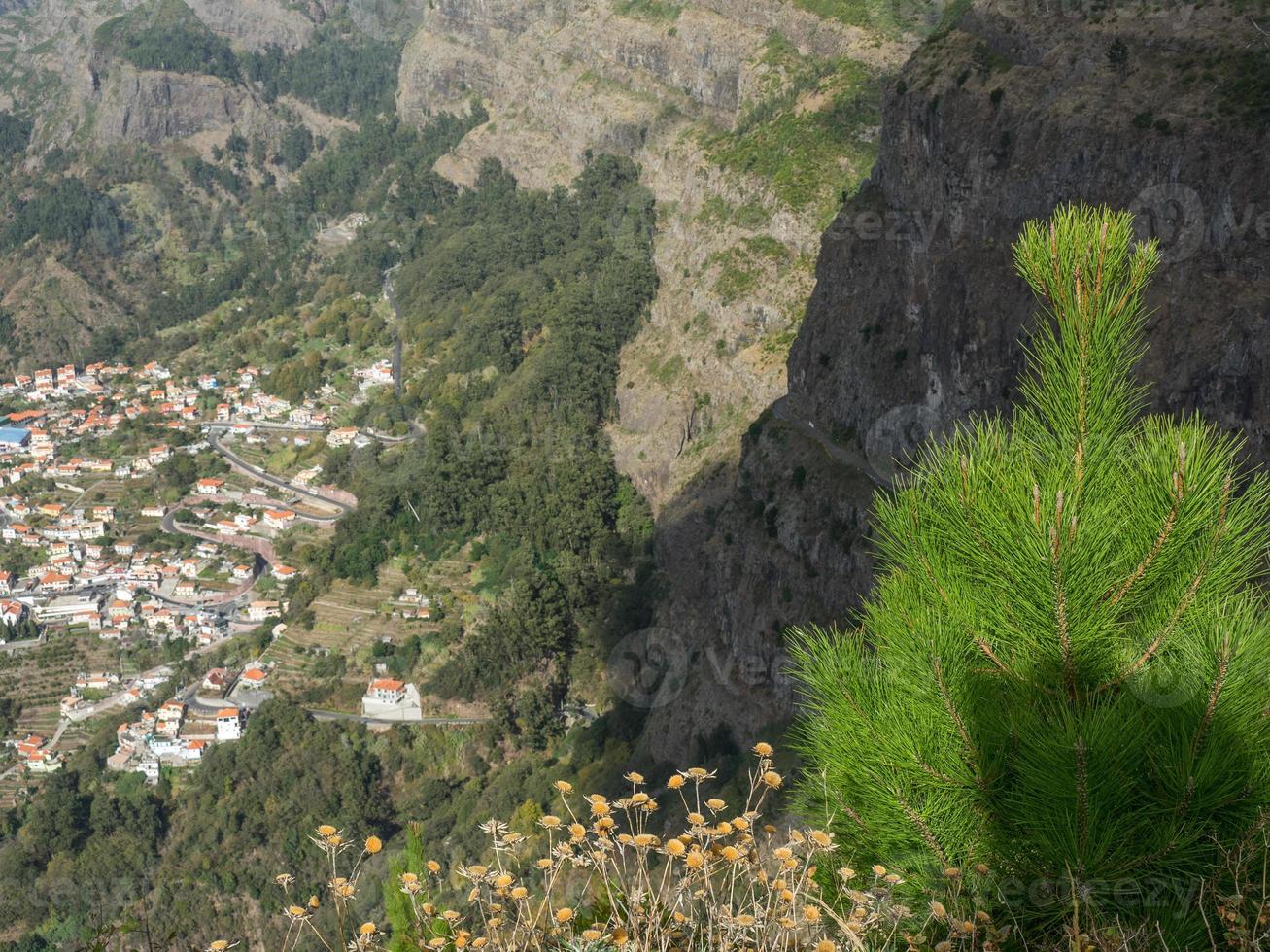 the island of madeira photo