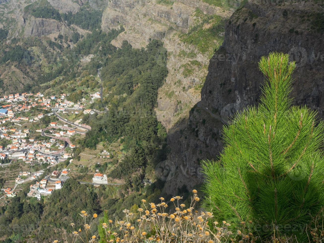 la isla de madeira foto