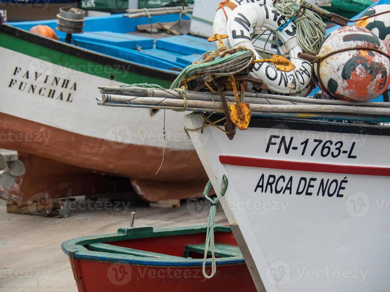 funchal and the island of madeira photo