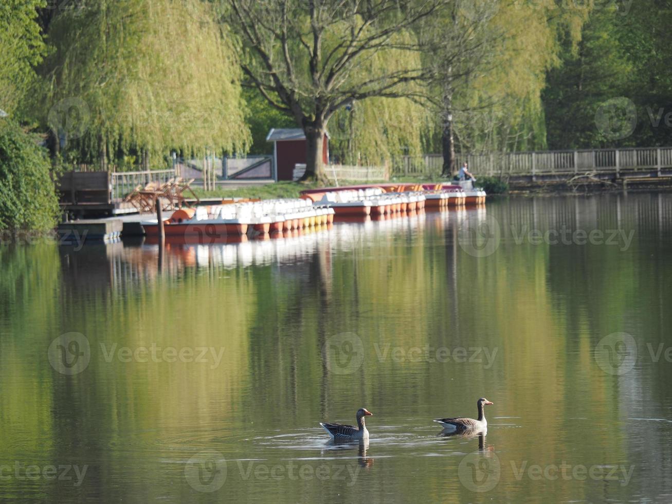 small lake in westphalia photo