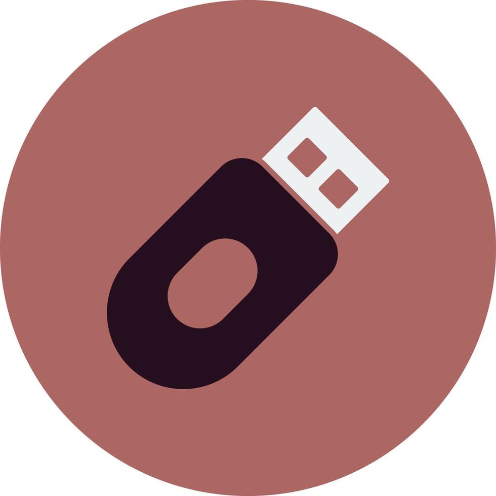 Flash drive Vector Icon