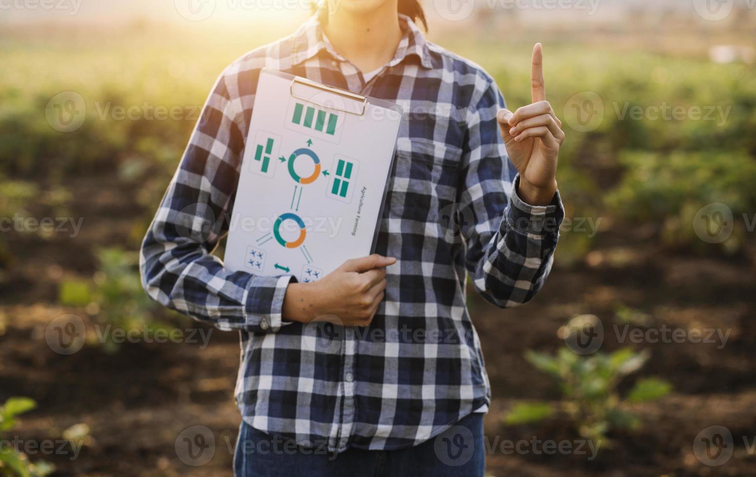 Asian woman and man farmer working together in organic hydroponic salad vegetable farm. using tablet inspect quality of lettuce in greenhouse garden. Smart farming photo